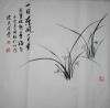 我的相冊
